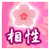 相性 相性